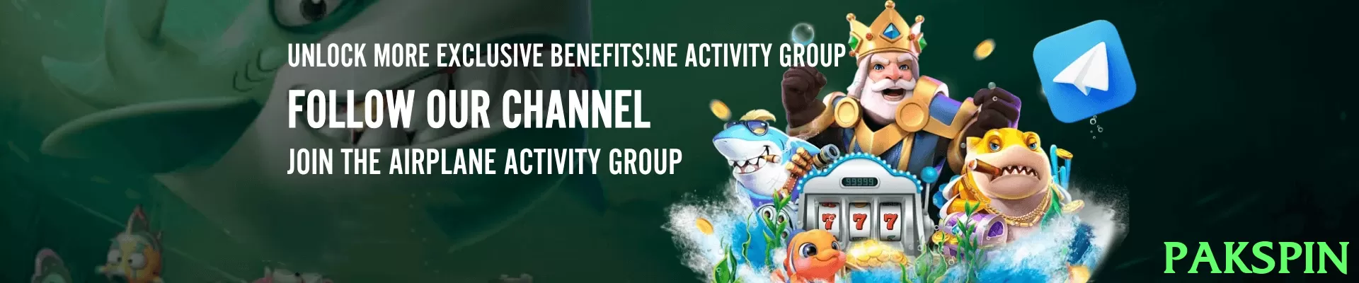 pakspin Pakistan - 3